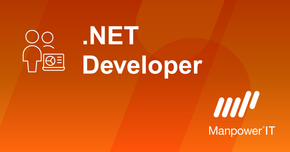 .NET DEVELOPER